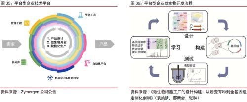 合成生物乘勢(shì)而起 顛覆傳統(tǒng)引領(lǐng)未來(lái)，軟件開(kāi)發(fā)助力行業(yè)龍頭迎戴維斯雙擊